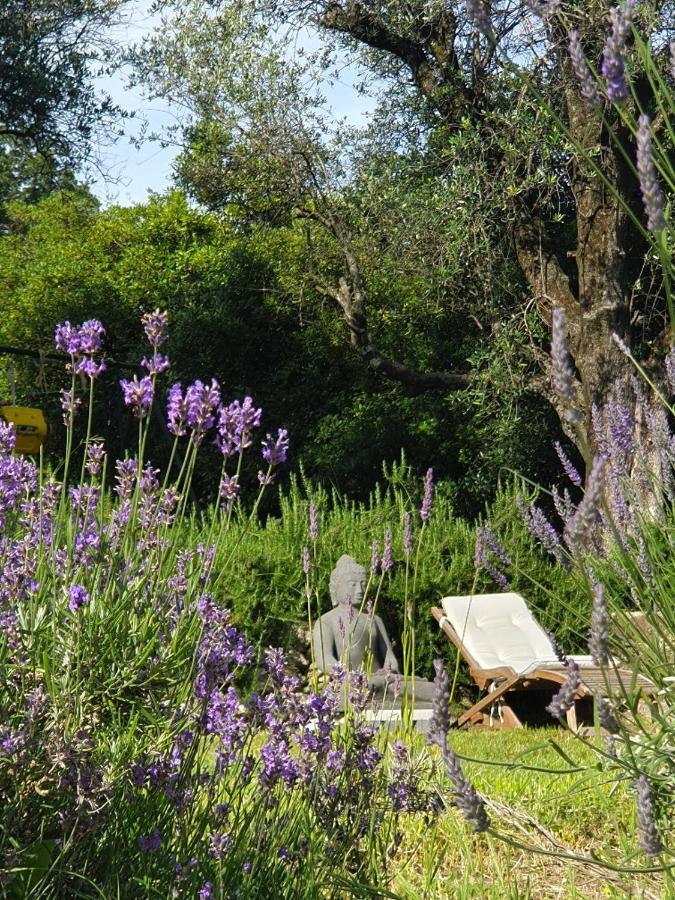 Apartment Picasso In Large Park With Heated Pool Chateauneuf-Grasse Exterior foto